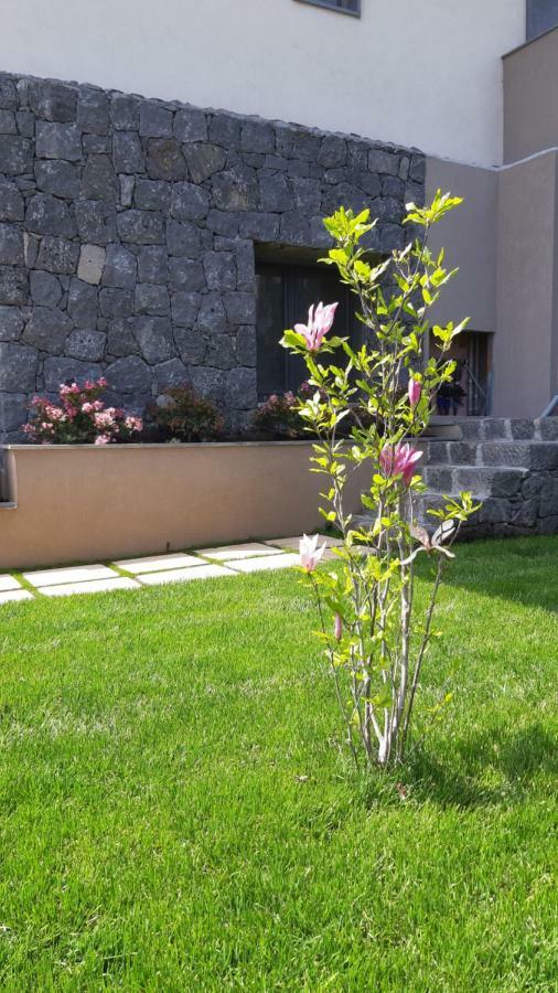 Anna & Alfredo Bed And Breakfast Zafferana Etnea Exterior photo